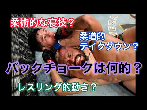MMAでの柔道・レスリング・柔術の特性とは？