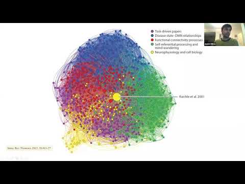 Demystifying the Default Mode Network