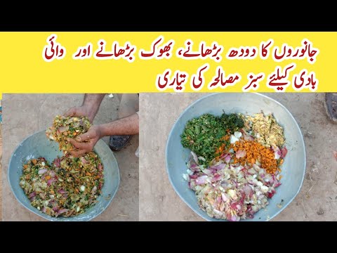 Janwaron Ka Milk Increaee Krny k  Liey Sabz Misala ki Tayari ll Livestock ll Dairy Farming