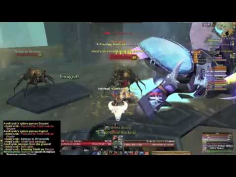 TOGC 10 - Insanity - Anub'arak