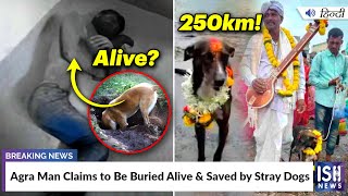 Agra Man Claims to Be Buried Alive and Saved by Stray Dogs