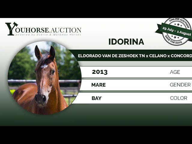 Idorina
