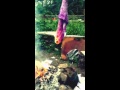 Burning A Pillow Case In Reverse