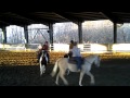 Carosello Di Natale Rolanda Quarter Horses