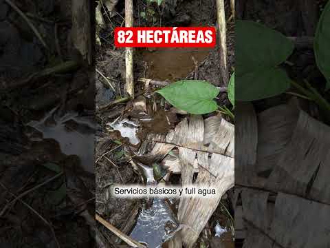 🔥(SE VENDE)🔥FINCA DE: (82) HECTÁREAS🔥Venta directa con el dueño: (+57) 322 948 3983🔥