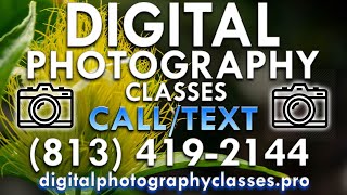 Learn Photography Tampa Learn How to Take Better Photos Learn Photography Tampa