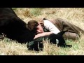 Main Titles From Black Beauty 1994 By Danny Elfman 800 Slower