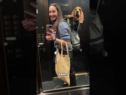 New Yorkers Found a Loophole