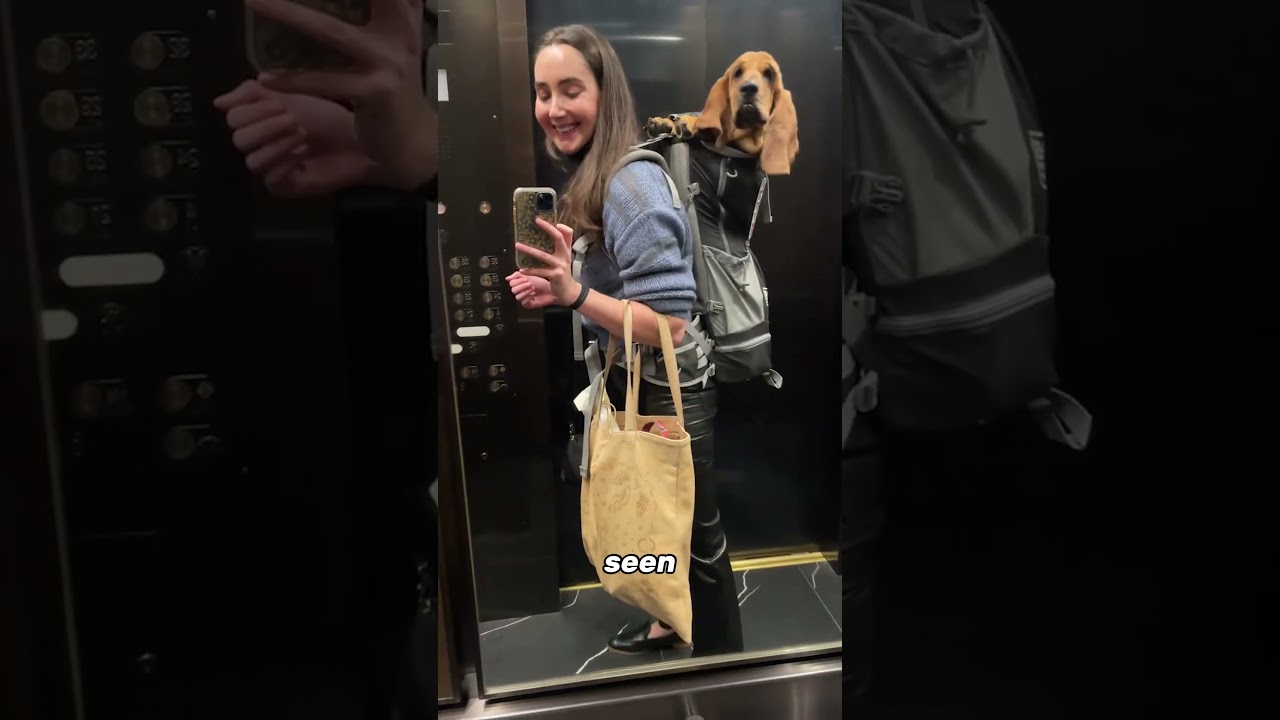 New Yorkers Found a Loophole