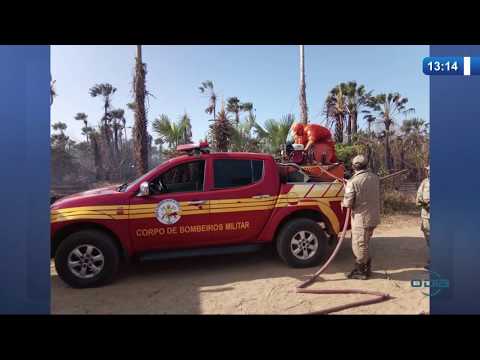 O DIA NEWS 17 10  InceÌ‚ndio no lixaÌƒo de Ilha Grande, no PiauiÌ