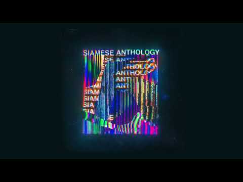 James Harcourt - Bloom