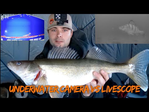 Underwater Camera VS Garmin Livescope! (Side by side) Ice Fishing for Walleye!