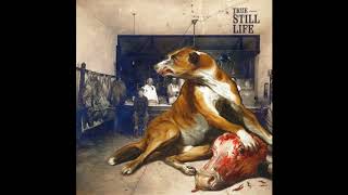 True - Still life [Full album]
