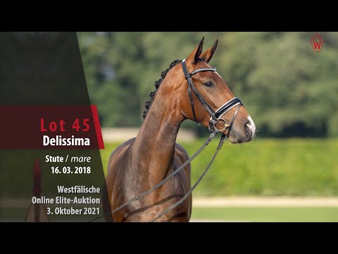 Online Elite-Auktion Lot 45 Delissima Stute v. Dreamline - Belissimo M