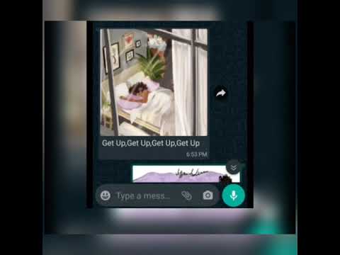 Ruler-Tamu(Official Lyrics Video)