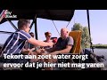 Door de aanhoudende droogte is het waterpeil te laag | RTV Utrecht