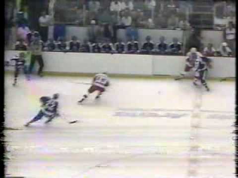 1987 Detroit Red Wings playoff goals