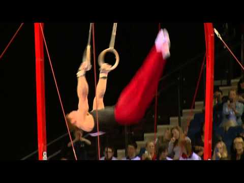 DANIEL PURVIS - SILVER - RINGS - APPARATUS FINAL 2014 BRITISH - MASTERS