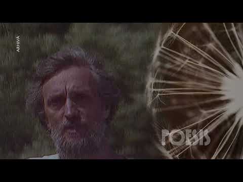 Poesis: Florian Chelu şi Rock Filarmonica Oradea – Sara pe deal de Mihai Eminescu (@Arhiva TVR)