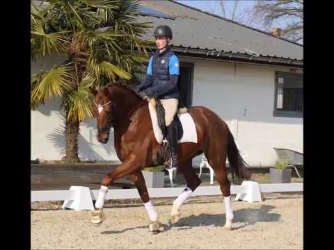 BON BRAVOUR X DAYANO - SOLD