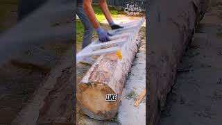 Build a sawmill in your backyard? #diy #sawmill #woodworking #chainsaw