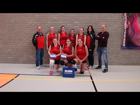 The Serve DS1 - Dinto DS6