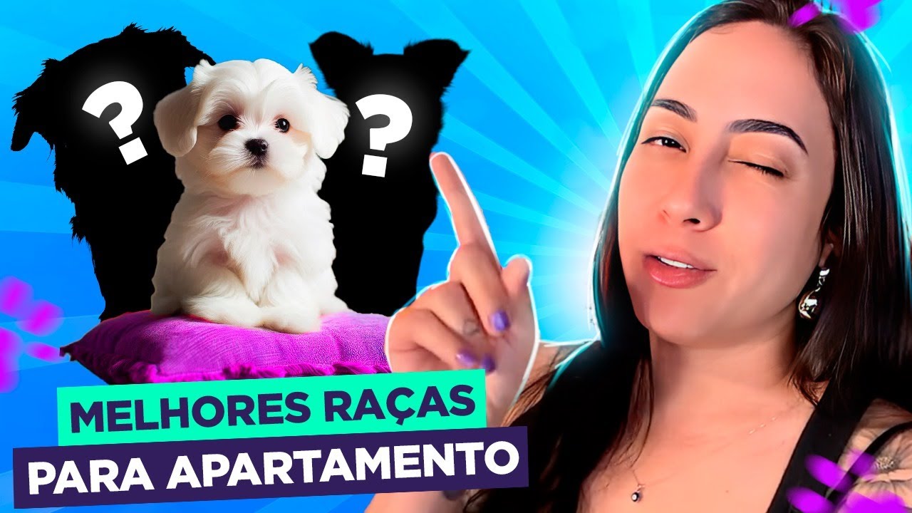 O QUE NÃO TE CONTAM: RAÇAS PARA APARTAMENTO