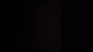 RoachMozzy-slimey where I live