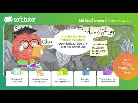 Laubblatt: Aufbau & Funktion – einfach erklärt