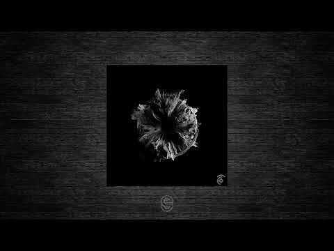 Premiere: Aaron Suiss, Kaliko Flow - My Favorite Things - Echoes Of Time