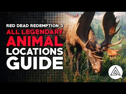 Red Dead Redemption 2 | All Legendary Animal Locations Guide & Hunting Tips
