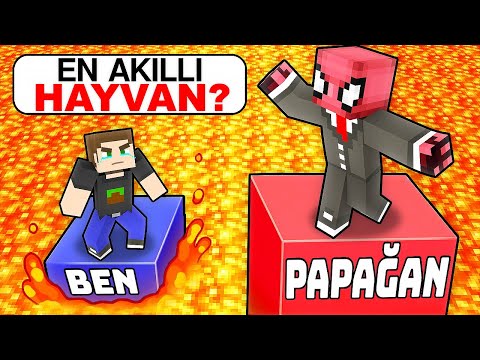 UZUN YAZAN YAŞAR - Minecraft