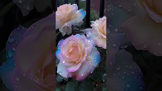 Download lagu Tanaman bunga cantik yang jarang di temui #shorts mp3