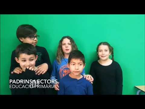 preview video