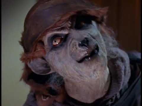 05x07   ¿Le Temes a la Oscuridad    La Historia de Badge