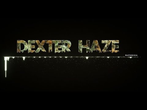 H∀Z∃ / RAPIDEMIA # 1.4