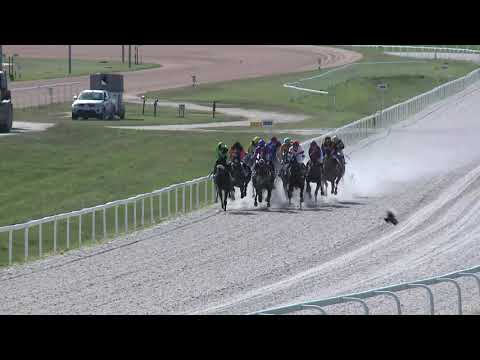 2019.06.30. 06. futam - HIGHLAND GOLF CLUB HENDIKEP (V.o.) (szintetikus pálya)