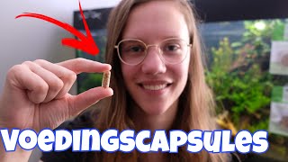 VOEDINGSBODEM?! Het kan GOEDKOPER! Alles over Bodem PLANTENVOEDING! //Nickey//
