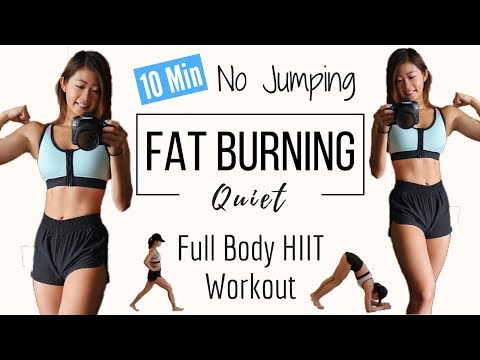 10 min No Jumping Full Body Fat Burning HIIT Workout | QUIET CARDIO (Beginner & Apartment Friendly)