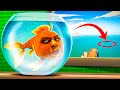 I Became A FISH And ESCAPED To The OCEAN I Am Fish
