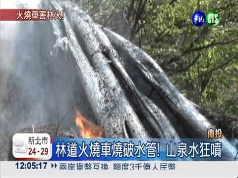 火燒車波及樹林! 大火竄百米高