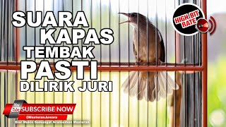 Download lagu 🔴 KAPAS TEMBAK GACOR ROLL PANJANG❗️PANCINGAN EMOSI MASTERAN KAPAS TEMBAK mp3