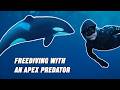 Free Diving With An Apex Predator Steve Backshall