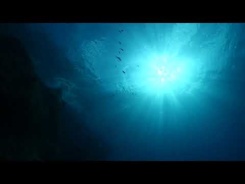 foudeqush & ludwig göransson - con la brisa (432hz)