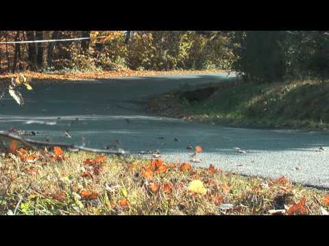 Rafał Dudek & Paweł Lenczowski 45 Rajd Żubrów 2011 BMW E30 318is