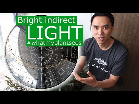 download lagu mp3 mp4 Direct And Indirect Sunlight, download lagu Direct And Indirect Sunlight gratis, unduh video klip Direct And Indirect Sunlight