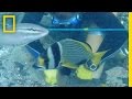 Shipwreck From Explorer Vasco Da Gama S Fleet Discovered National Geographic