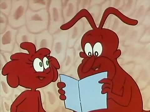 Es war einmal … das Leben Staffel 1 Folge 17 - Screen 10 HD Deutsch