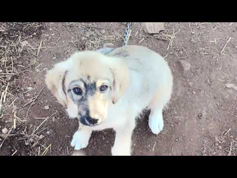 Moja mala kuća Bobi