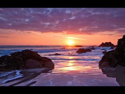 Tim Carleton - Opus No.1